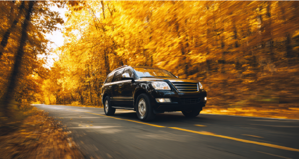 Automotive Batteries